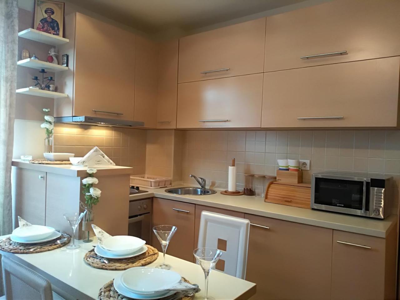 Apartman Nina Vojvode Stepe Vozdovac Voždivac 외부 사진